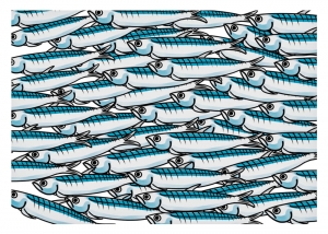 LE SARDINE DI CALAMANDREI